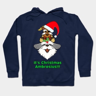 Sir Diddymus Labyrinth Christmas Hoodie